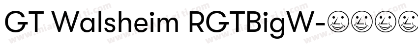 GT Walsheim RGTBigW字体转换